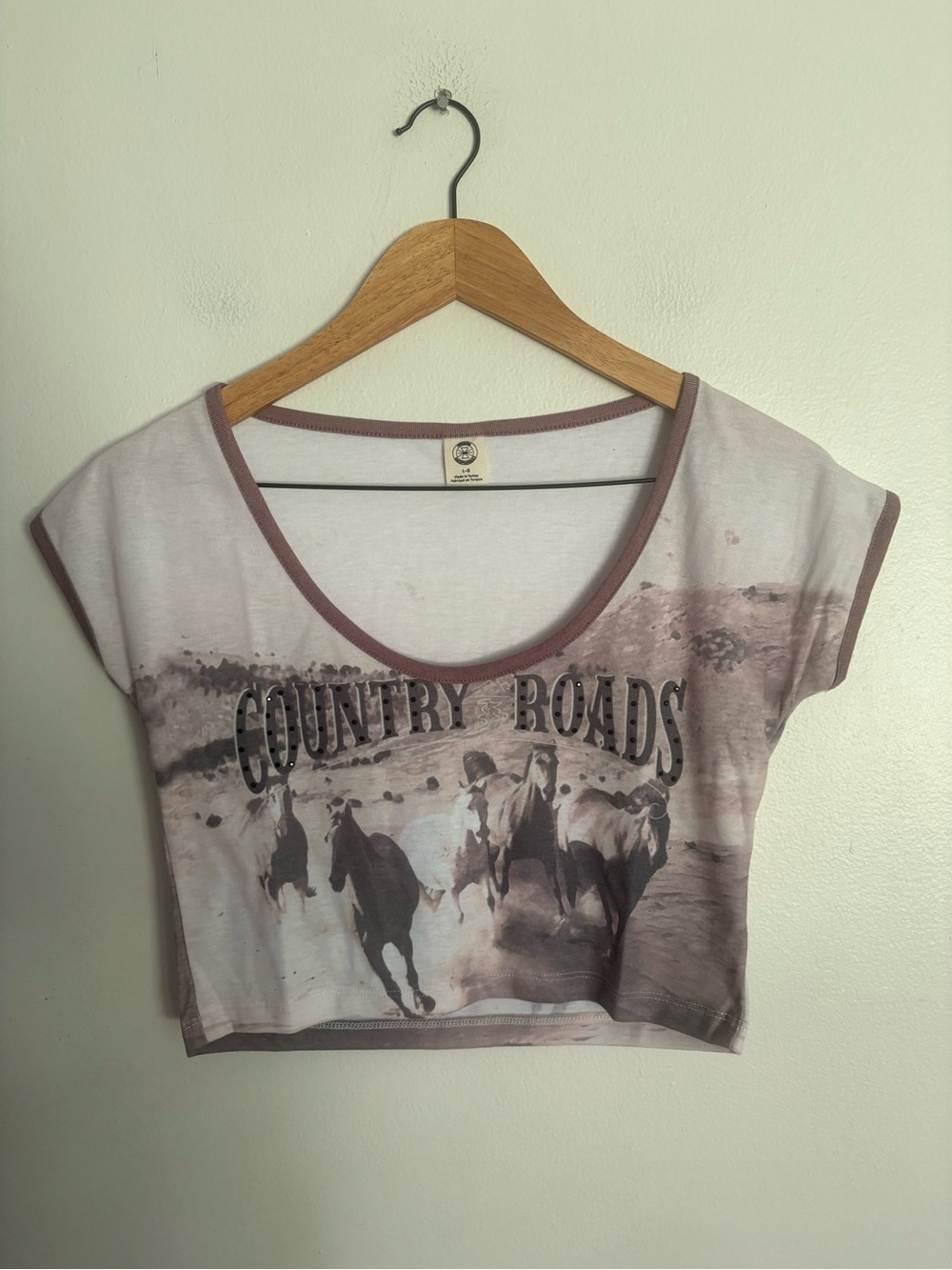 Urban Outfitters Country Roads Graphic Crop Top Wild Horses Women’s Large NWOT